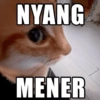 Meme kucing stres core 😾 5