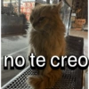 no te creo