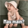 Dedek kamari 8