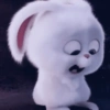 Snowball 14