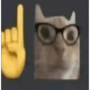 Dilo con gatos 6