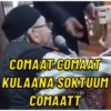 Vıddıdı 15