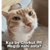 Funny quotes 🤠 8