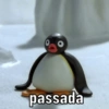 PINGU 10