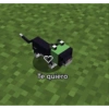 Frases de tik tok pt.1 28