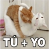 TÚ + YO