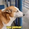 vou pensar