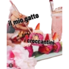 il mio gatto i croccantini 包