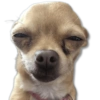 Perritos MooD #2 15