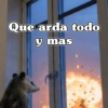 🧿 Tlacuache/ zariguella🦡 16