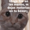 tEngo frío en las manos, m dejas meterlas en tu bóxer¿