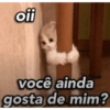 Ninguém gosta de mim 😢 15
