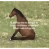 Si escribo mal es porque te tengo confianza, no porque tengo mala ortografia
