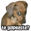 te golpeaste?