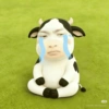 SAPI TIKTOK FILTER COW🐮 8