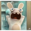 RABBIT  11