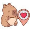 Capibara Valentin ❣️ 14