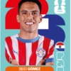🧿 Laminas Seleccion Paraguay🇵🇾 7