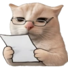 🧿 Gato para molestar 😋😂🐱 9