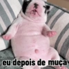 Melhores figurinhas  22