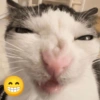 Emoji 🤌😊 17