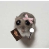 Hamster 21