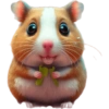 Fofo 5