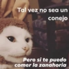 Tal vez no sea un conejo Pero si te puedo comer la zanahoria