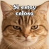 🧿 Anima tu chat😂😋 11