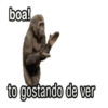 boa! to gostando de ver