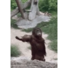 Monos con expresiones 8