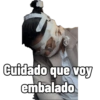 Longos 2025 6