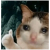Michis cursed 22