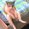 REAGE DE GATIN 7