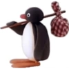 PINGU MEMS 11