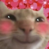 Love cat. | @ocenferios  Haki. 9