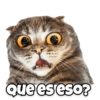 Memes18 16