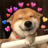 REAÇÕES DE AMOR 11