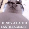 TE VOY A HACER LAS RELACIONES