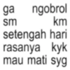 Kata-kata anomali 𖥻2 16