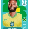 🧿 Laminas Seleccion Brazil🇧🇷 14
