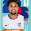 Cromos Seleção dos EUA 🇺🇸 7