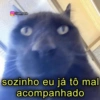 AS MAIS NOVAS 8