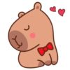 Capibara Valentin ❣️ 20