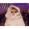 SAD CATT😿😿😭 12