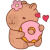 Capibara Valentin ❣️ 19