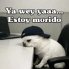 🧿 Para tu chat usalos😎😋 14