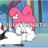 Bebé  16