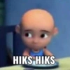 HIKS HIKS