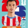 🧿 Laminas Seleccion Paraguay🇵🇾 6